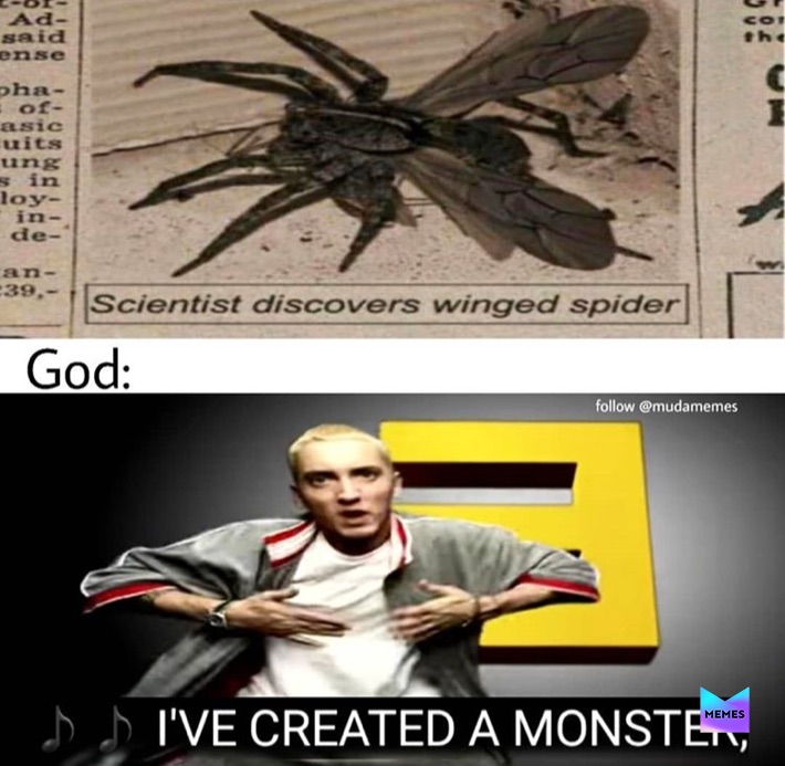 Meme by kudu_the_great