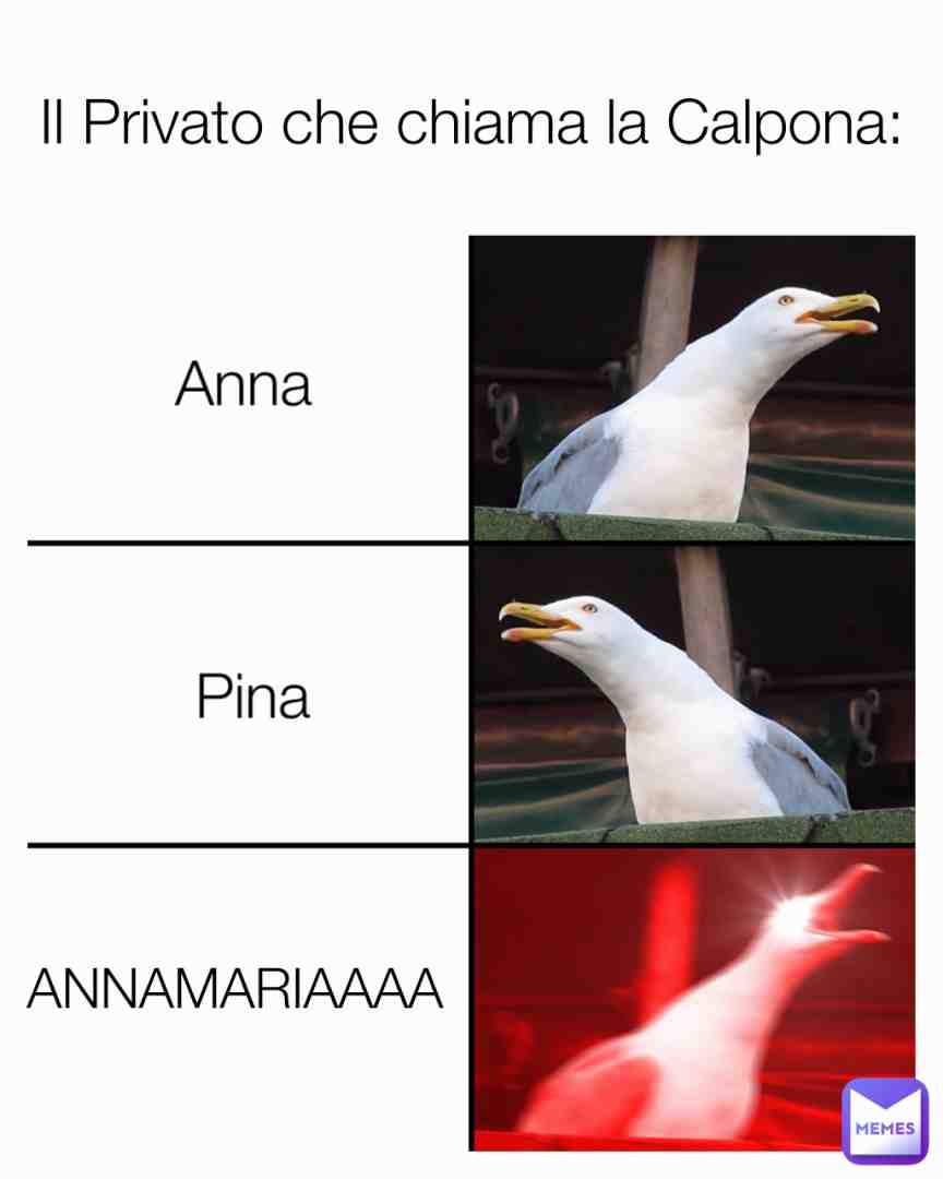 Meme shared by @Bruttt