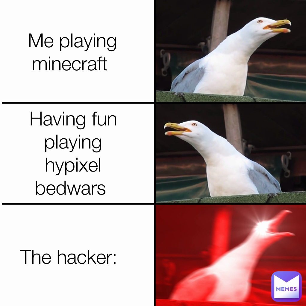 The hacker: Having fun playing hypixel bedwars  Me playing minecraft 