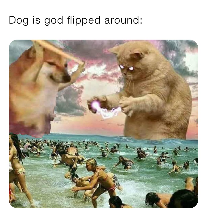 Dog is god flipped around: