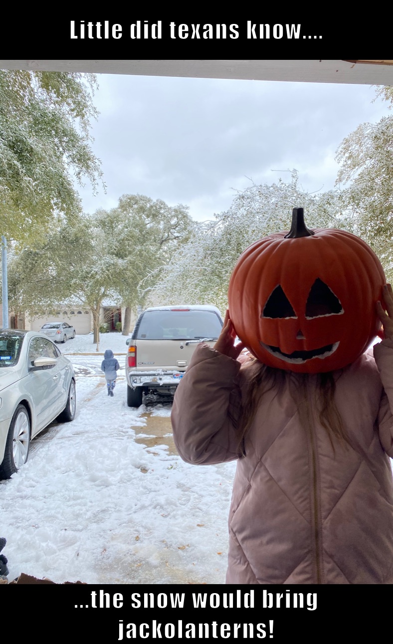 Little did texans know.... ...the snow would bring jackolanterns!