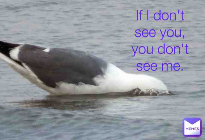 Meme shared by @itsonlylisa