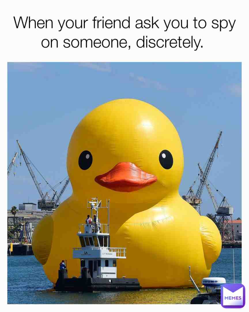 Meme shared by @itsonlylisa