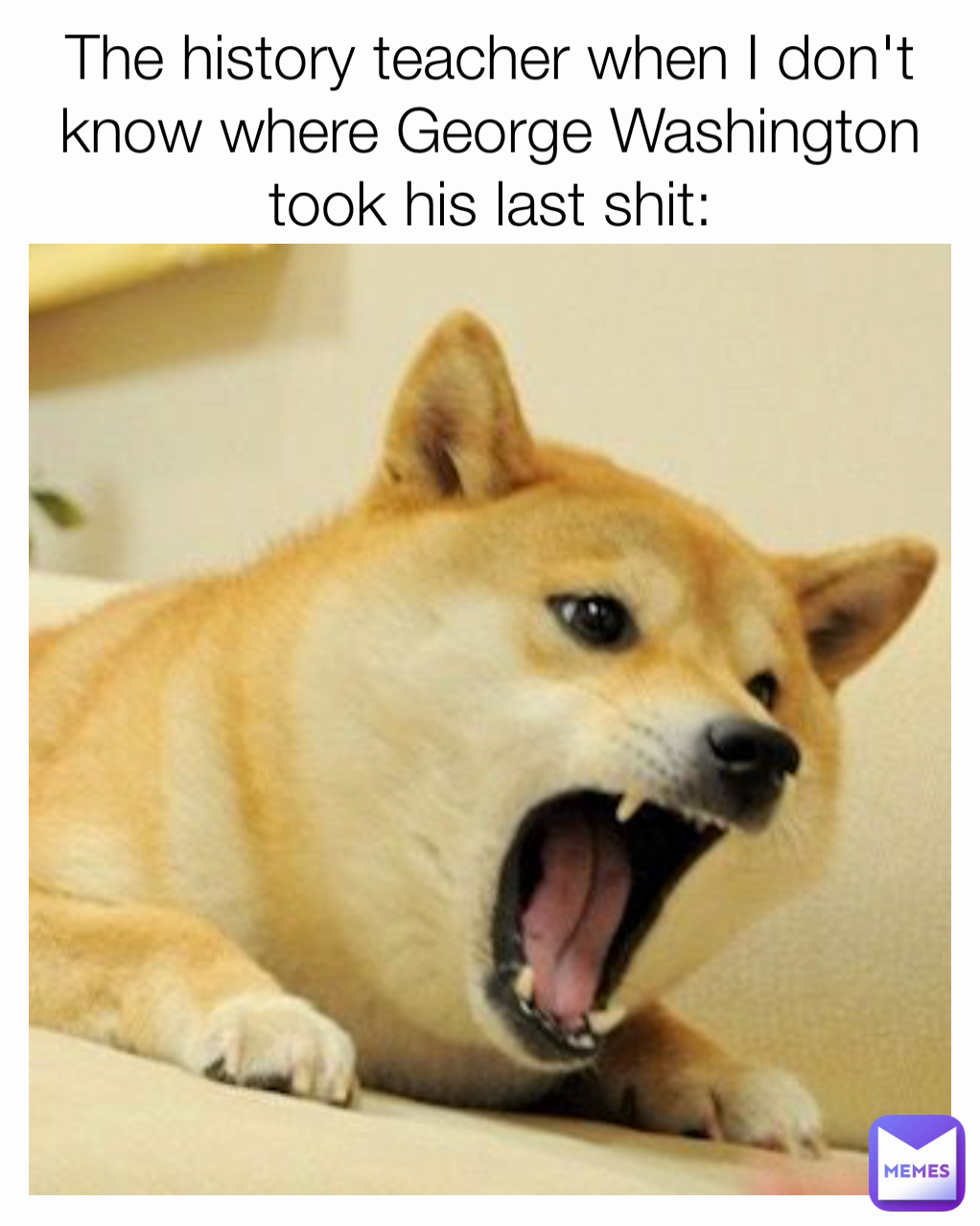 The history teacher when I don't know where George Washington took his last shit: