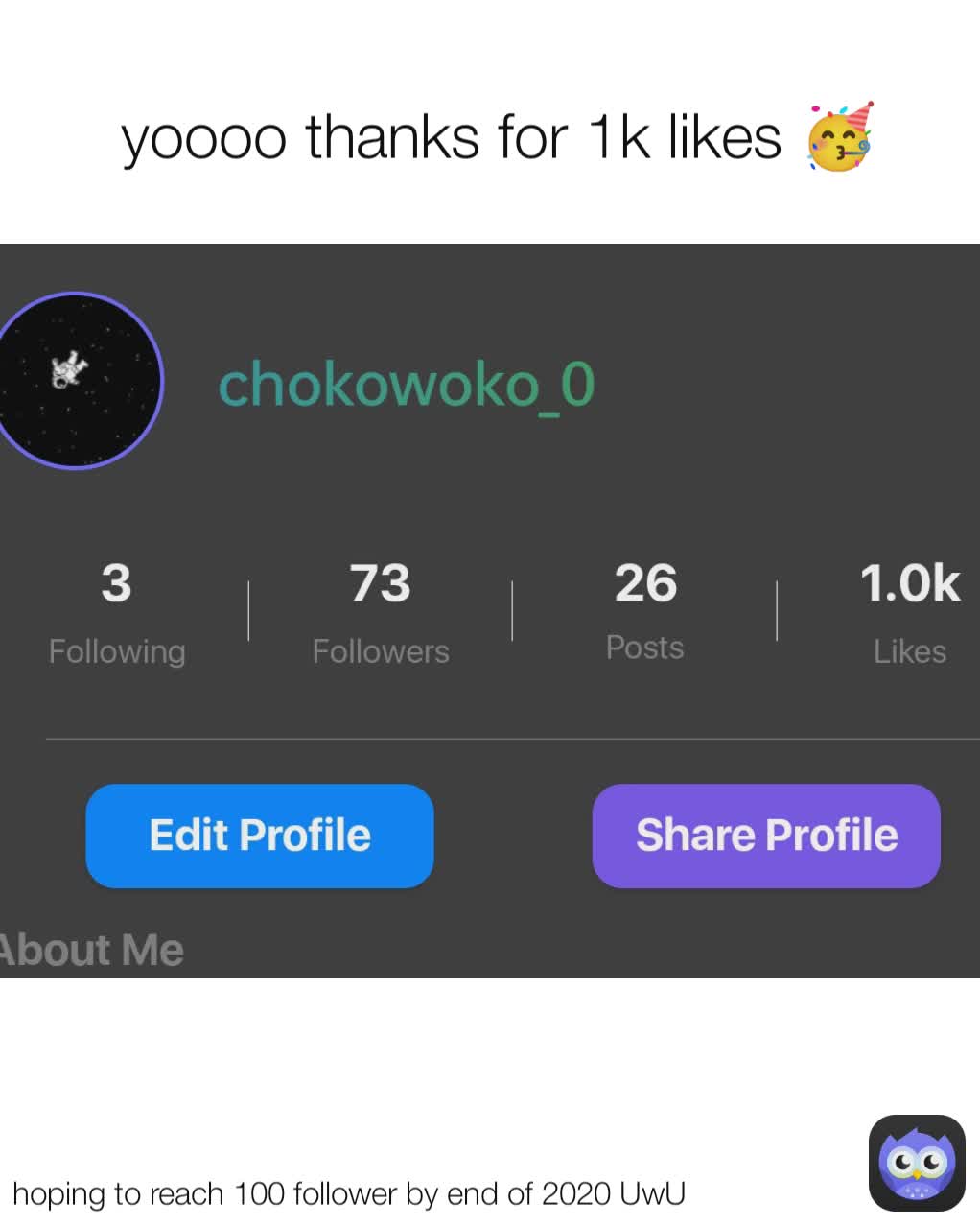 yoooo thanks for 1k likes 🥳 hoping to reach 100 follower by end of 2020 UwU 