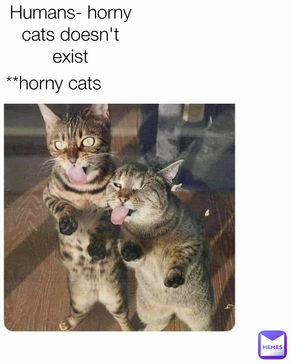 Meme by aakarsh-verma