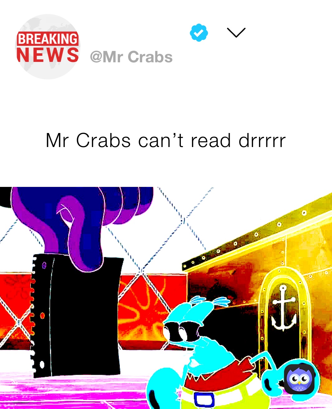 Mr Crabs can’t read drrrrr