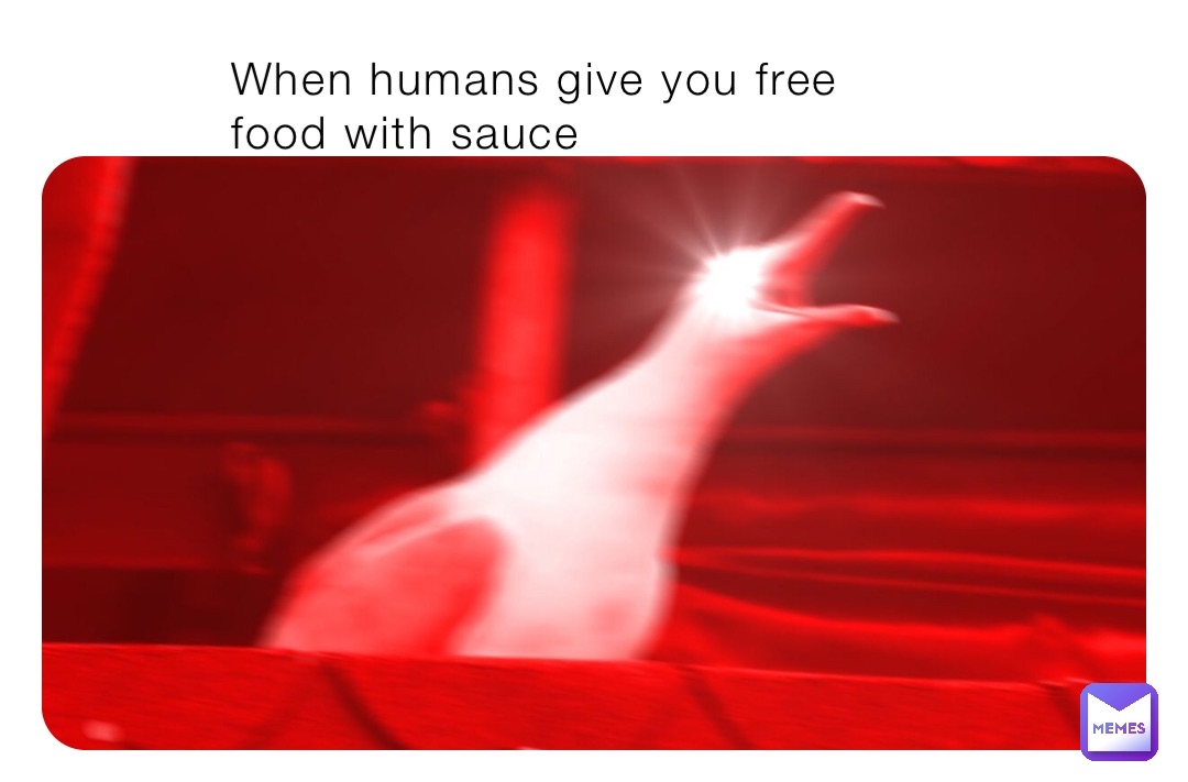 When humans give you free food with sauce