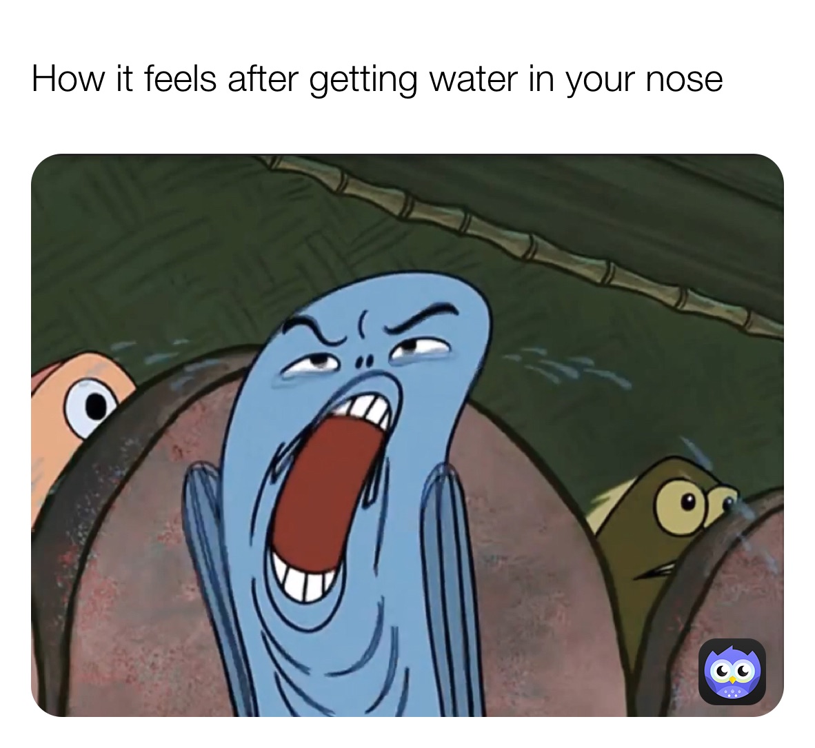 How it feels after getting water in your nose