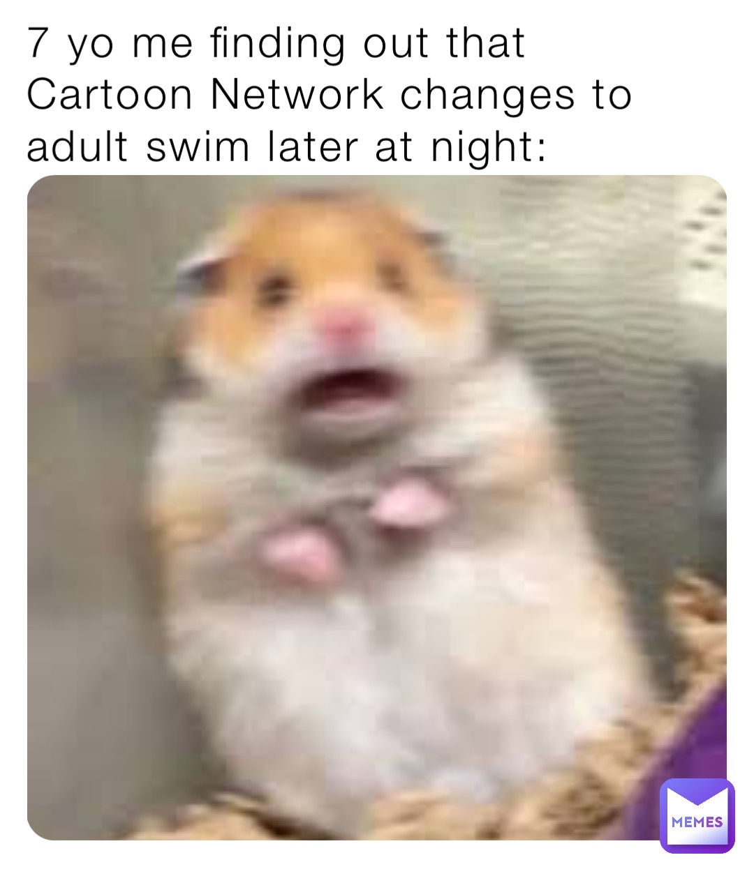 7 yo me finding out that Cartoon Network changes to adult swim later at night: