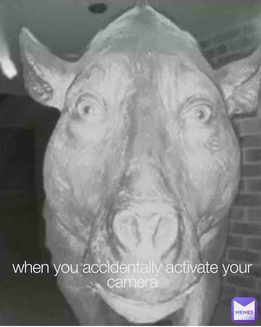 Meme shared by @thinini