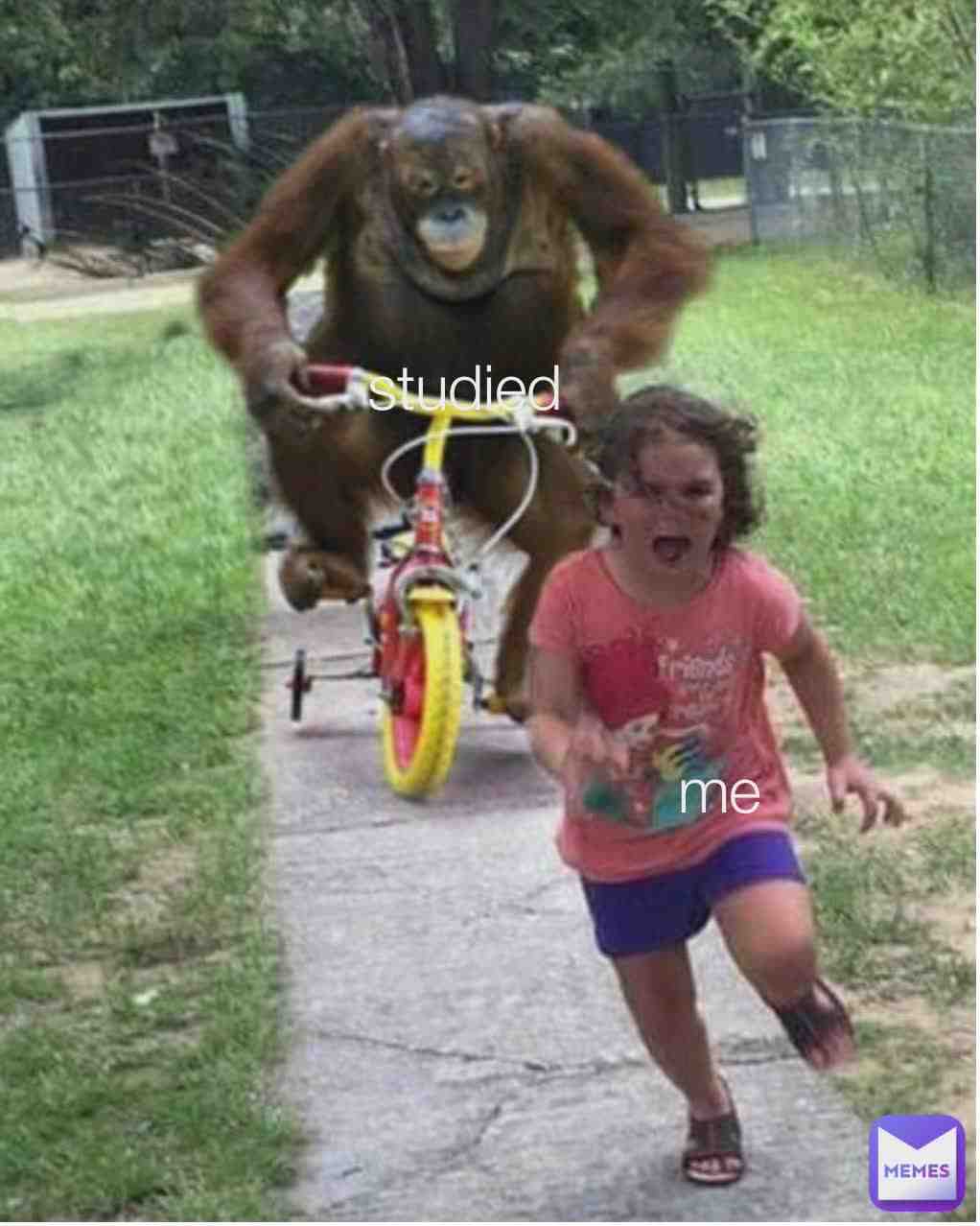 Meme shared by @thinini