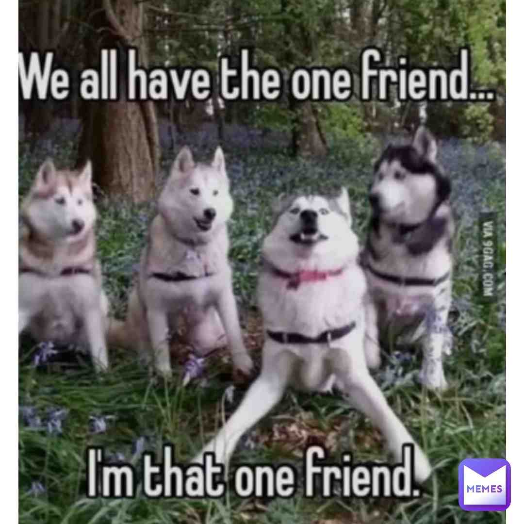 we are sane we promise...