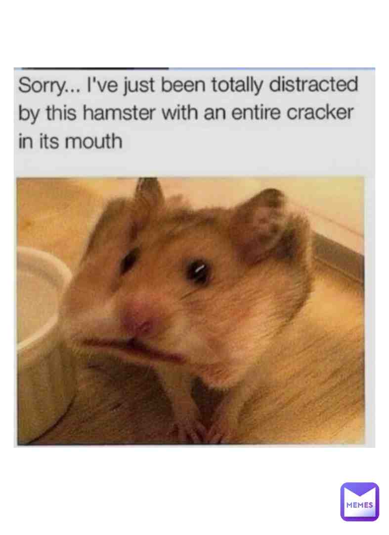 Meme shared by @mememaster_29