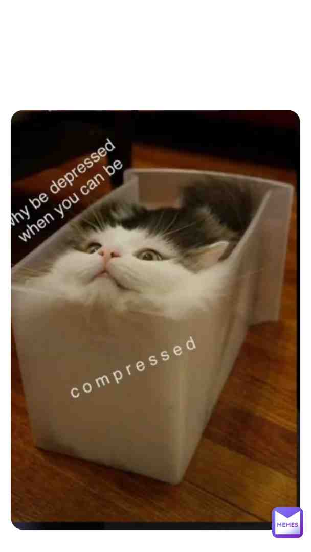 #animalmemeday1