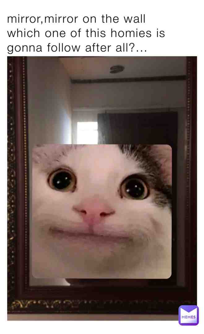 #mememaster