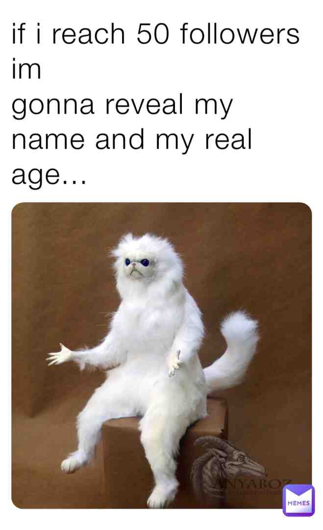 follow me #mememaster