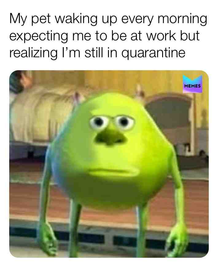 Meme shared by @mrmeme3000