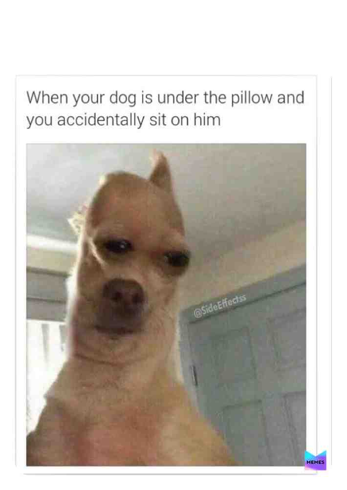 Meme shared by @mrmeme3000