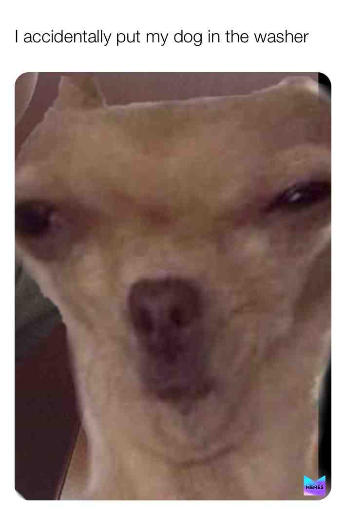 Meme shared by @mrmeme3000