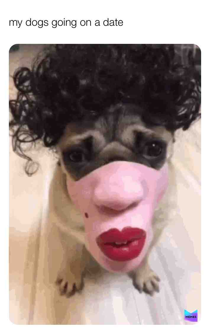 #dogmemes  #dogmeme  #dogmemes