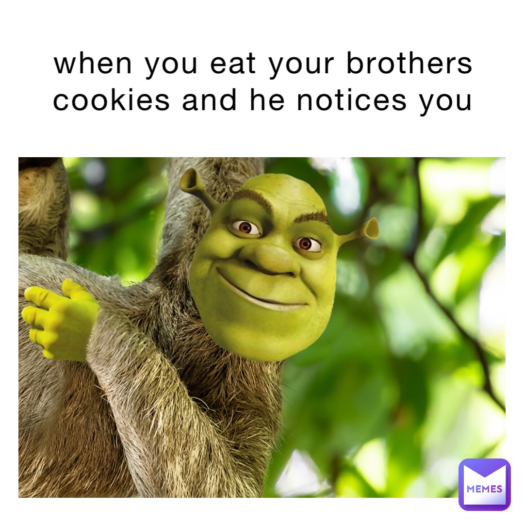 when-you-eat-your-brothers-cookies-and-he-notices-you-detox-op-memes