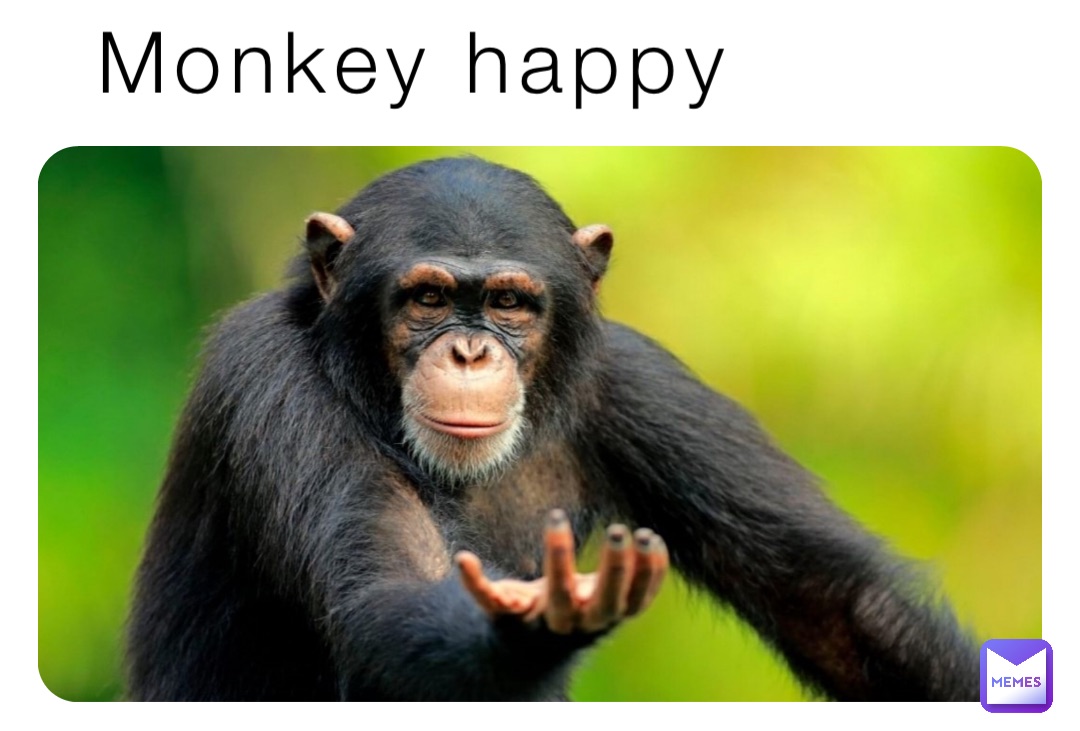 Monkey happy