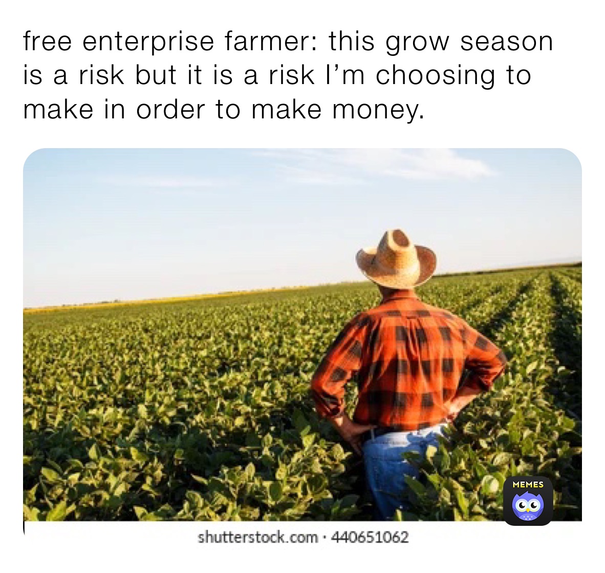 free enterprise farmer: this grow season is a risk but it is a risk I’m choosing to make in order to make money.