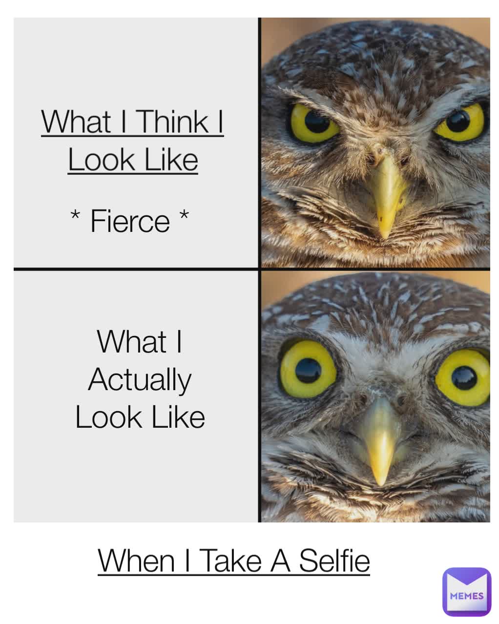 When I Take A Selfie What I Think I Look Like * Fierce * What I Actually Look Like