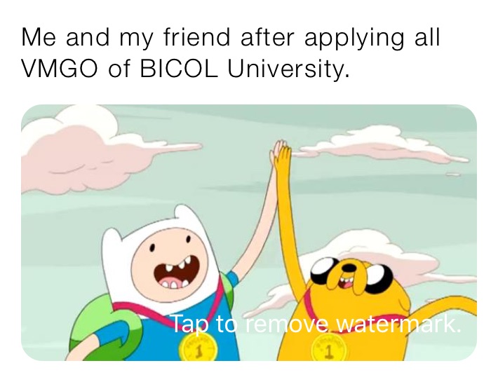 Me and my friend after applying all VMGO of BICOL University.