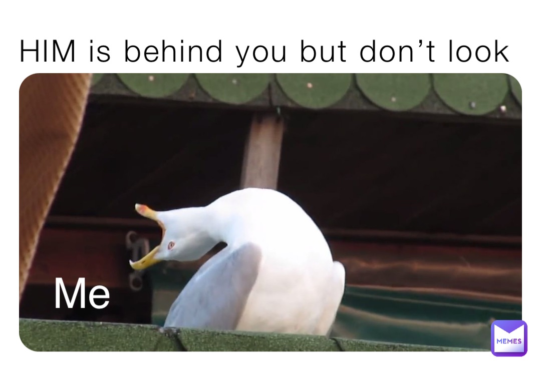 Meme by I_got_your_nose