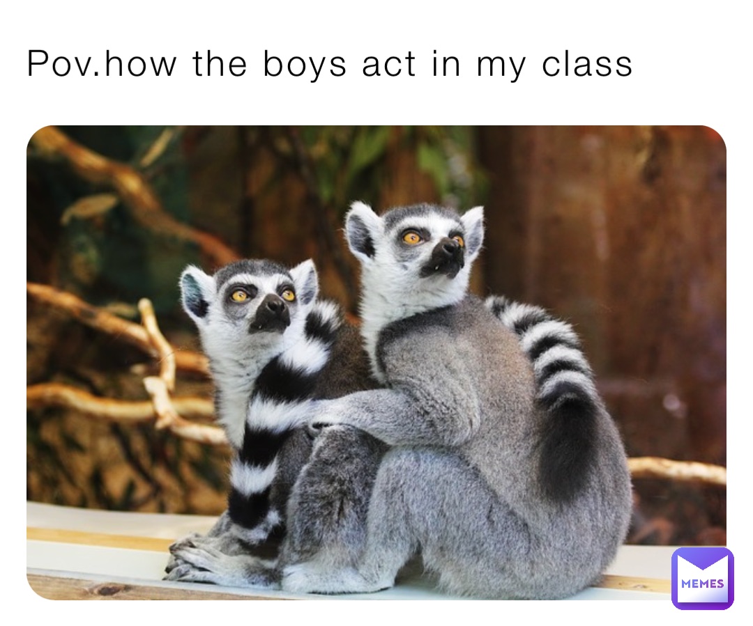 Pov.how the boys act in my class