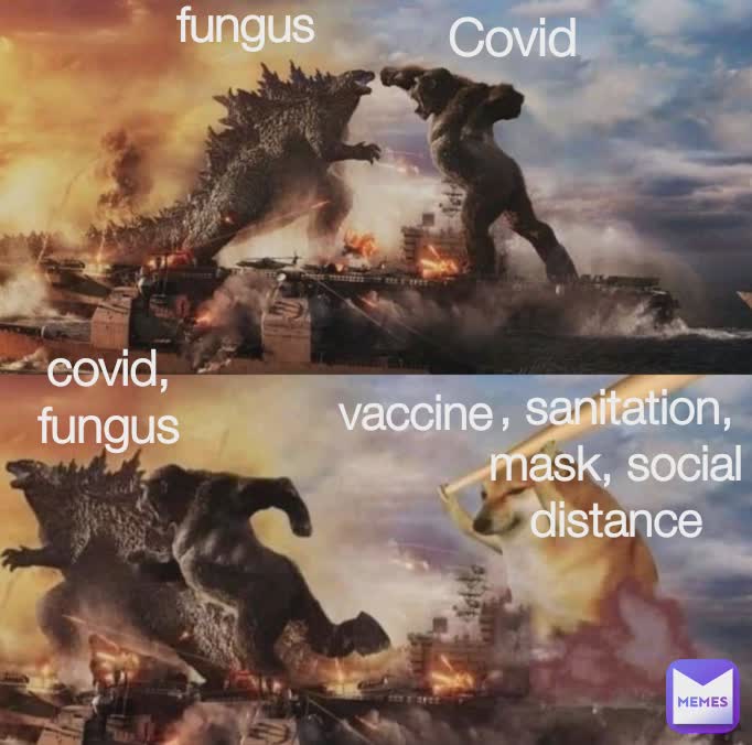 Covid fungus vaccine , sanitation,mask, social distance covid, fungus