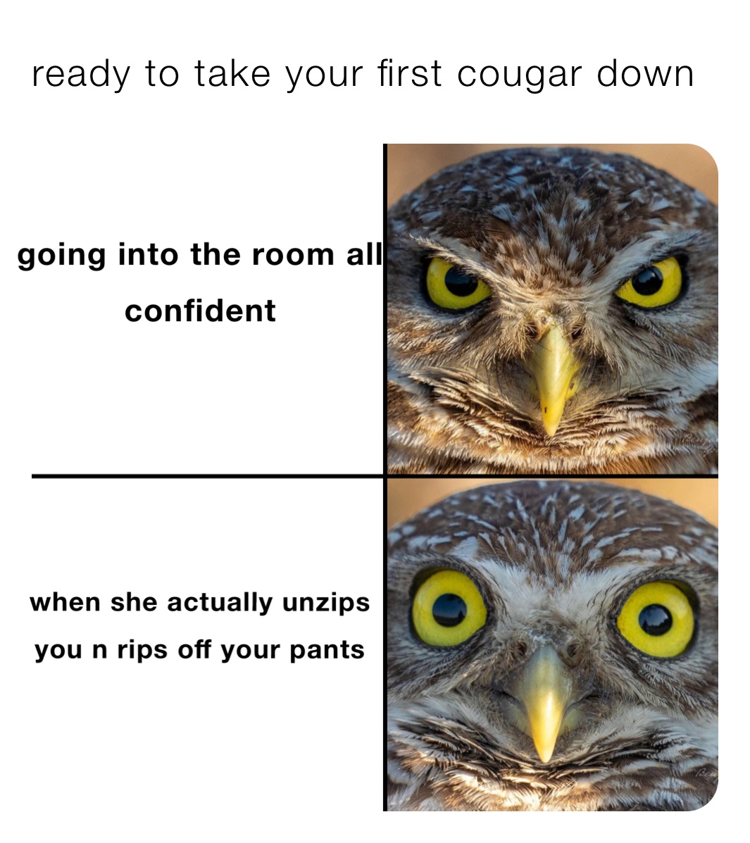 ready to take your first cougar down 