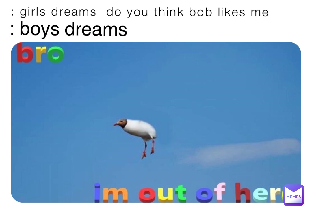 : girls dreams  do you think bob likes me : boys dreams