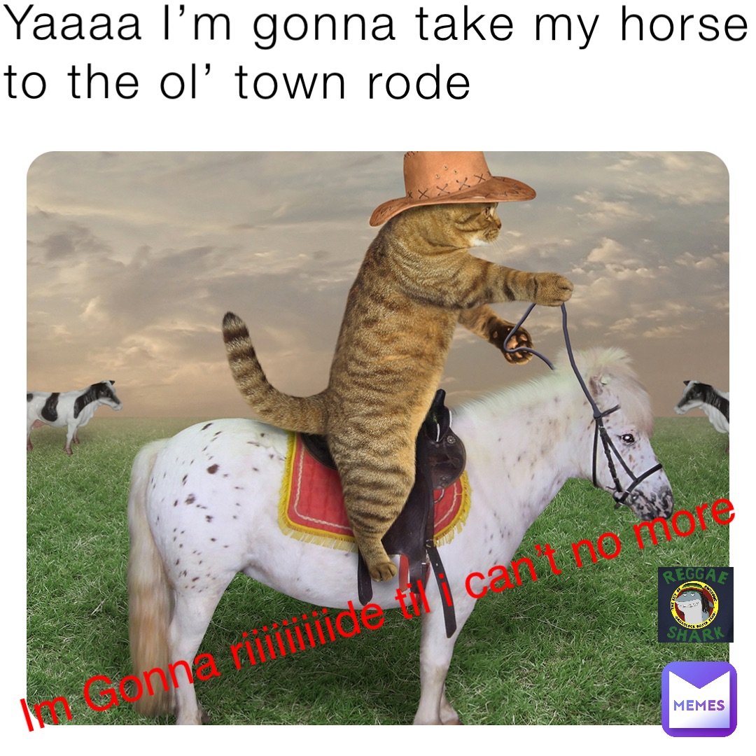 Yaaaa I’m gonna take my horse to the ol’ town rode Im Gonna riiiiiiiiide til i can’t no more