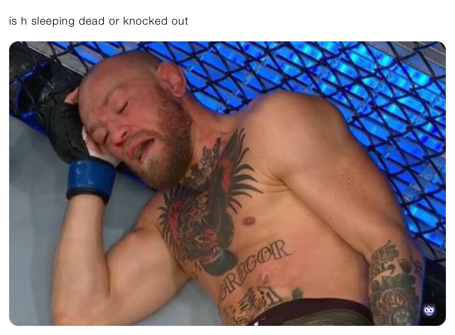 is h sleeping dead or knocked out 