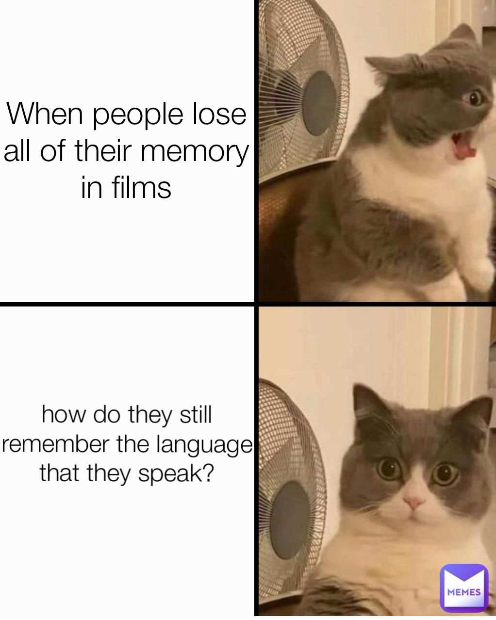 how do they still remember the language that they speak? When people lose all of their memory in films