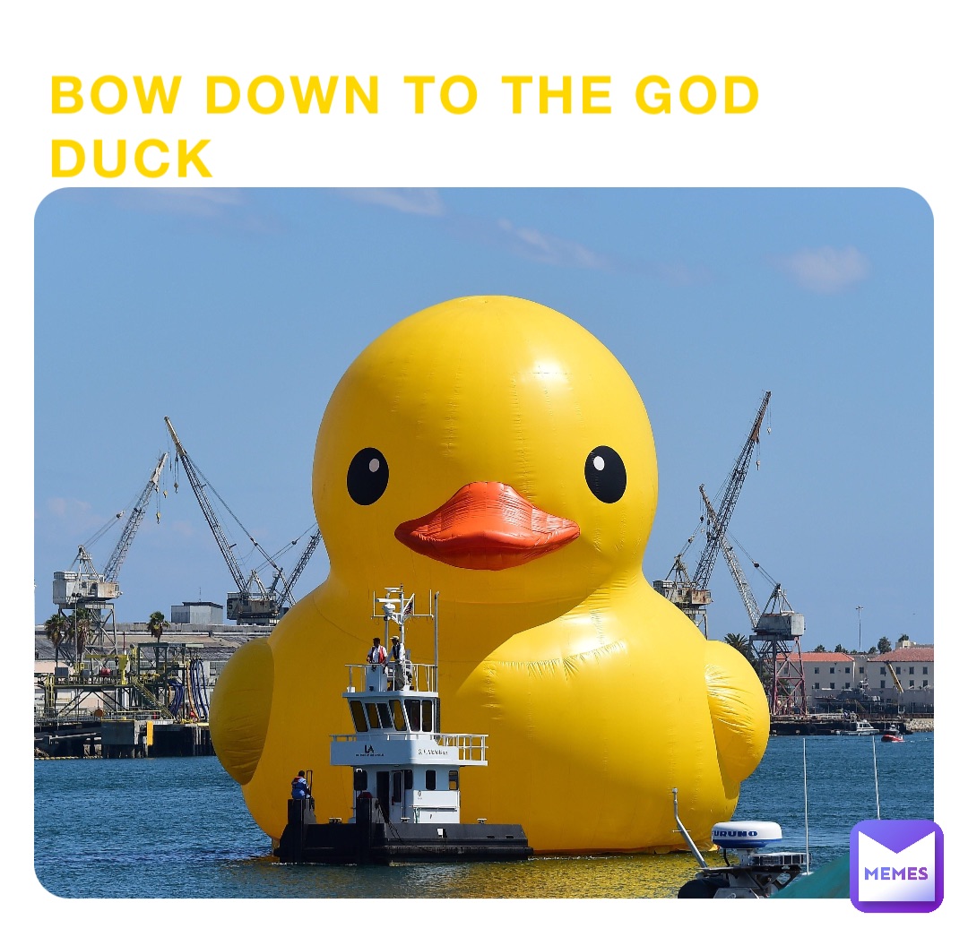 BOW DOWN TO THE GOD DUCK