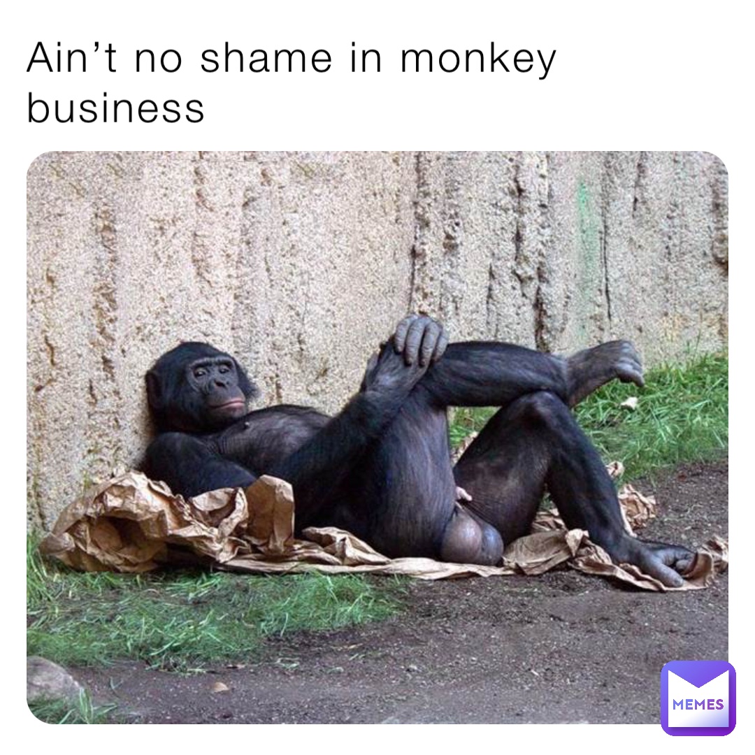 Ain’t no shame in monkey business