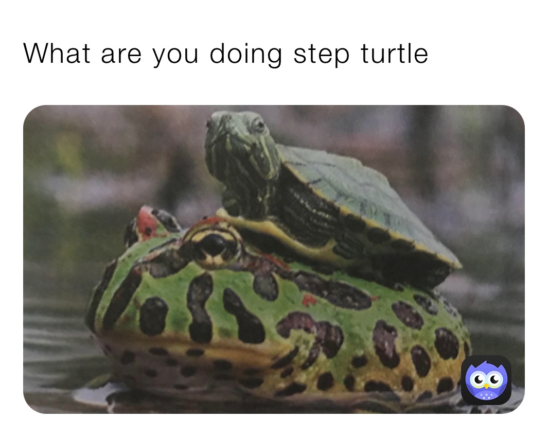 What are you doing step turtle