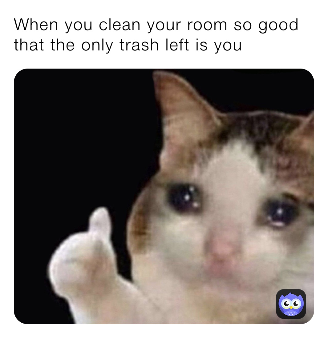 When You Clean Your Room So Good That The Only Trash Left Is You Shadow Point10 Memes