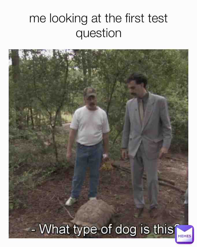 Meme shared by @saxaphone_monke