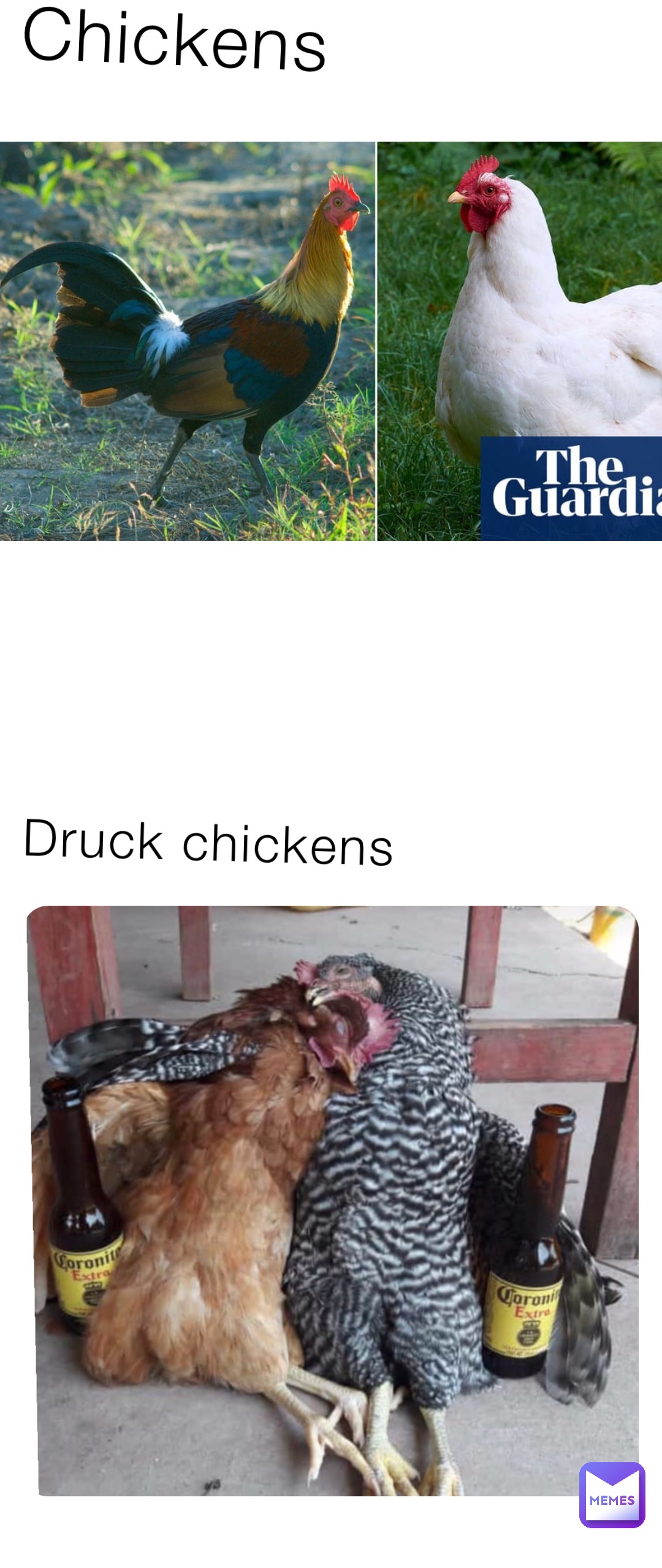 Druck chickens Chickens