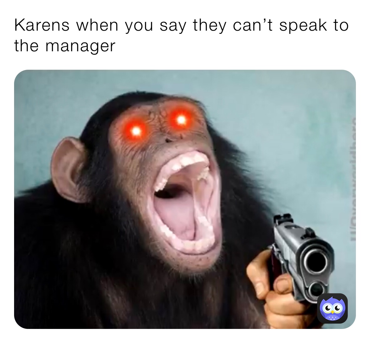 Meme by Yamber_The_Spamber