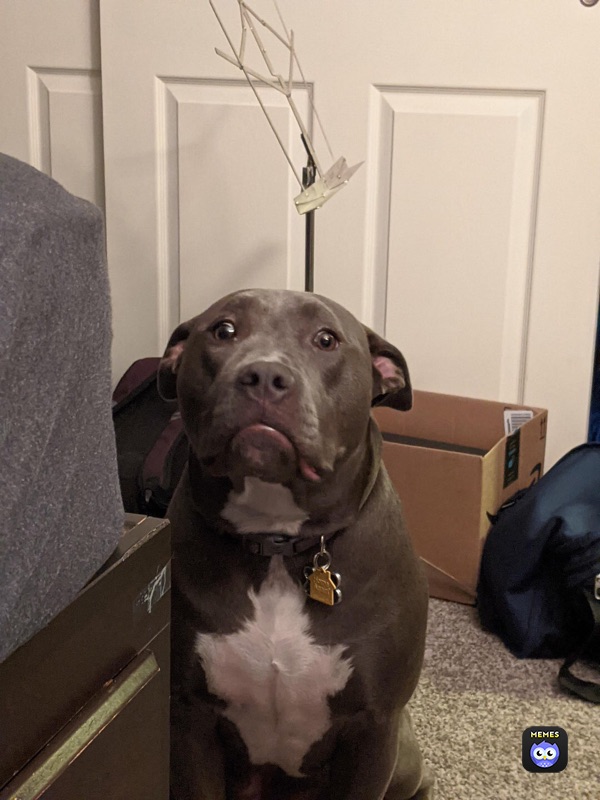 Meme by BRUH_man42021