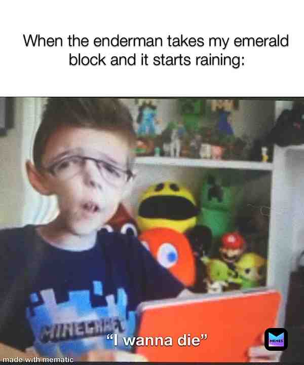 Meme shared by @joeseph_mother69