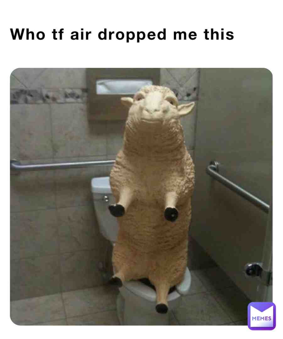 Lmao 🤣