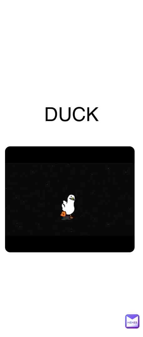 Duck
