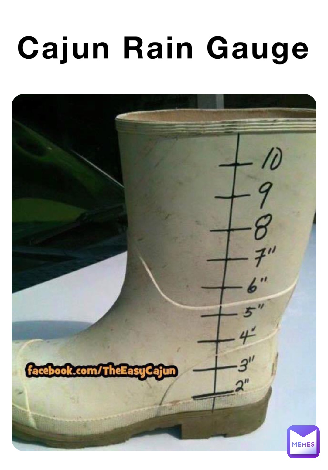 The look I give when someone tells me they put tomatoes, in their Gumbo